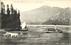 Aix les Bains - the Lake of Le Bourget - cow - boat - CPA
