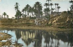 CPM SCENE ET TYPES. L'Oued Draa