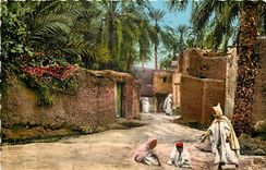 CPA SCENE ET TYPES. D'Afrique du Nord. Scène de la vie arabe