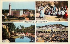 CPM Souvenir d'Algérie