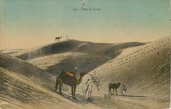 CPA Dans les dunes Chameau