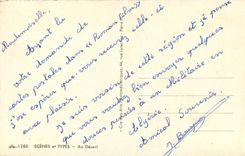 CPA Scènes & typesau désert Chameaux