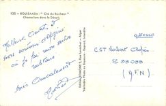 CPA BOU-SAADA - "Cité du Bonheur" Chameliers dans le désert Chameaux