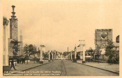 CPA Vue panoramique de l'Allée du Gros Tilleul Bruxelles