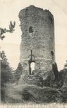 CPA Saint Brieuc la Tour de Cesson elevee en 1395 par le duc Jean IV demolie en 1598 sous Henri IV 