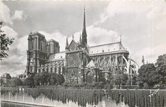 CPM Paris En Flanant Notre Dame et le Square de l'Archeveche 