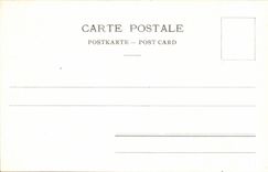 Switzerland CPA Castle of Chillon and Grammont