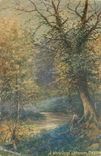 CPA A Woodland Stream Devon 