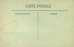 CPA Langeais Le Chateau vu du Parc 