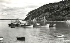 CPM Saint Brieuc Cotes du Nord Sous la Tour Le Legue  Bateaux