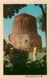 CPM Dhamekh Stupa 