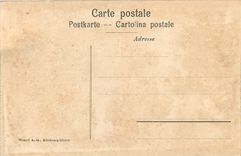 CPA Der Zurich See aus der ogelschau 