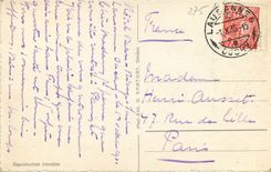 CPM Les Avants dents du Midi et champs de Narcises 