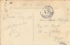 CPA Chateau de Versailles statue de Louis XIV et cour royale 