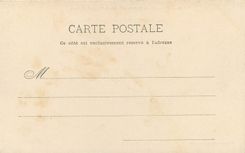 CPA Versailles parterre de la grande Orangerie du parc 