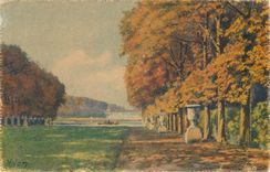 CPA Versailles Les Jardins Le Tapis Vert et le Bassin d'Apollon 