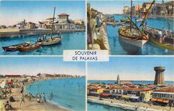 CPA Souvenir de Palavas Le Port et le Casino - La Peche aux Thons a été bonne - La Plage rive gauche