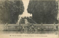 CPA Parc de Versailles - Le Bassin de Neptune et l'Allee des Marmousets