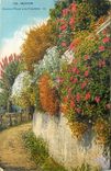 CPA Menton - Chemin fleuri a la frontiere