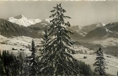 CPM Wildhorn Wasserngrat Gifferhorn 