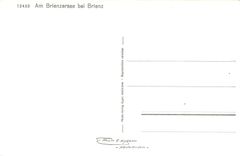 CPM Am Brienzersee bei Brienz 