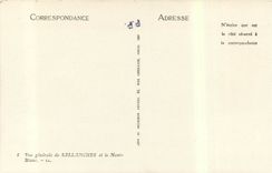 CPA Vue generale de Sallanches et le Mont Blanc