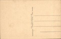 CPA Auvergne Young infant auvergnat (pig)