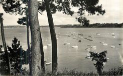 CPM Dinard Vue du Bassin des Yachts prise de la Promenade du Clair de Lune 