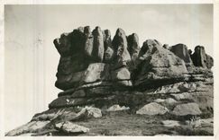 CPA Tregastel C du N Rocher Le Roi Grallon 