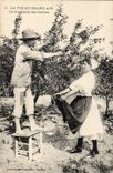 CPA Costume Folklore life with the great outdoors the gathering of cherries