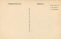 CPA Château de Chambord les terrasses lucarnes et cheminees