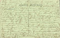 CPA Celebrate small hairy salute to the colors militaria