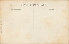 CPA Versailles Grandes Eaux Bosquet des Colonnades 