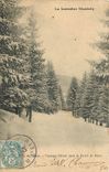 CPA Nancy Paysage d'Hiver dans la Foret de Haye 