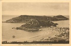 CPA Trebeurden C du N Le caste et l'Ile Millau