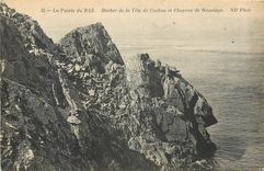 CPA La Pointe du Raz Rocher de la tete de cochone et Chapeau de napoleon 