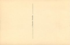 CPA Versailles L'Orangerie et le palais 