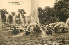 CPA Parc de Versailles Bassin du Dragon