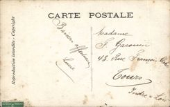 Fantasy CPA Chantecler and its hens