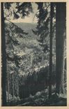 CPA Triberg Schwarzwald 