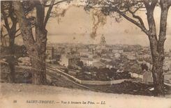 CPA Saint Tropez Vue a travers les Pins 