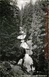 CPM Triberg Im Schwarzwald Wasserfalle 