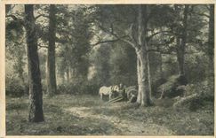 CPA En Automne 
