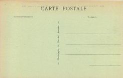 CPA Trebeurden C du N La Presqu'ile de Bihit a vol d'oiseau