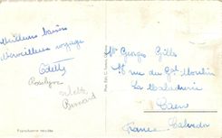 CPM Les Quais et les Alpes 