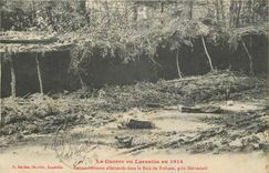 CPA La Guerre en Lorraine en 1914 Retranchements allemands dans le Bois du Frehaut pres Herimenil Mi