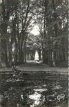 CPM Versailles et ses Mervailles Parc du Chateau Le bassin de Ceres 