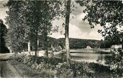 CPM Morlaix Finistere Les Bords de la Riviere de Morlaix 