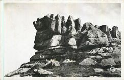 CPA Tregastel C du N Rocher Lo Roi Grallon 