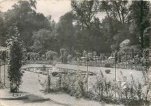 CPM Nancy Parc de la Pepiniere La Roseraie 